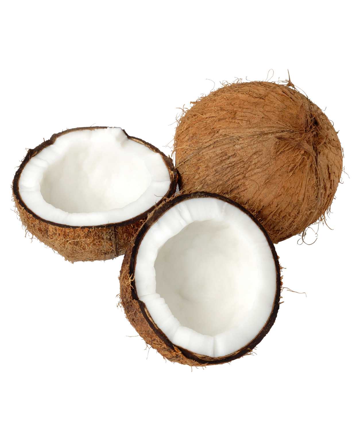 DESICCATED COCONUT