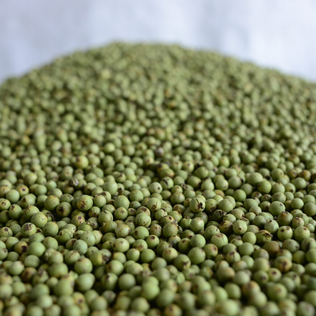 FREEZE-DRIED PEPPER