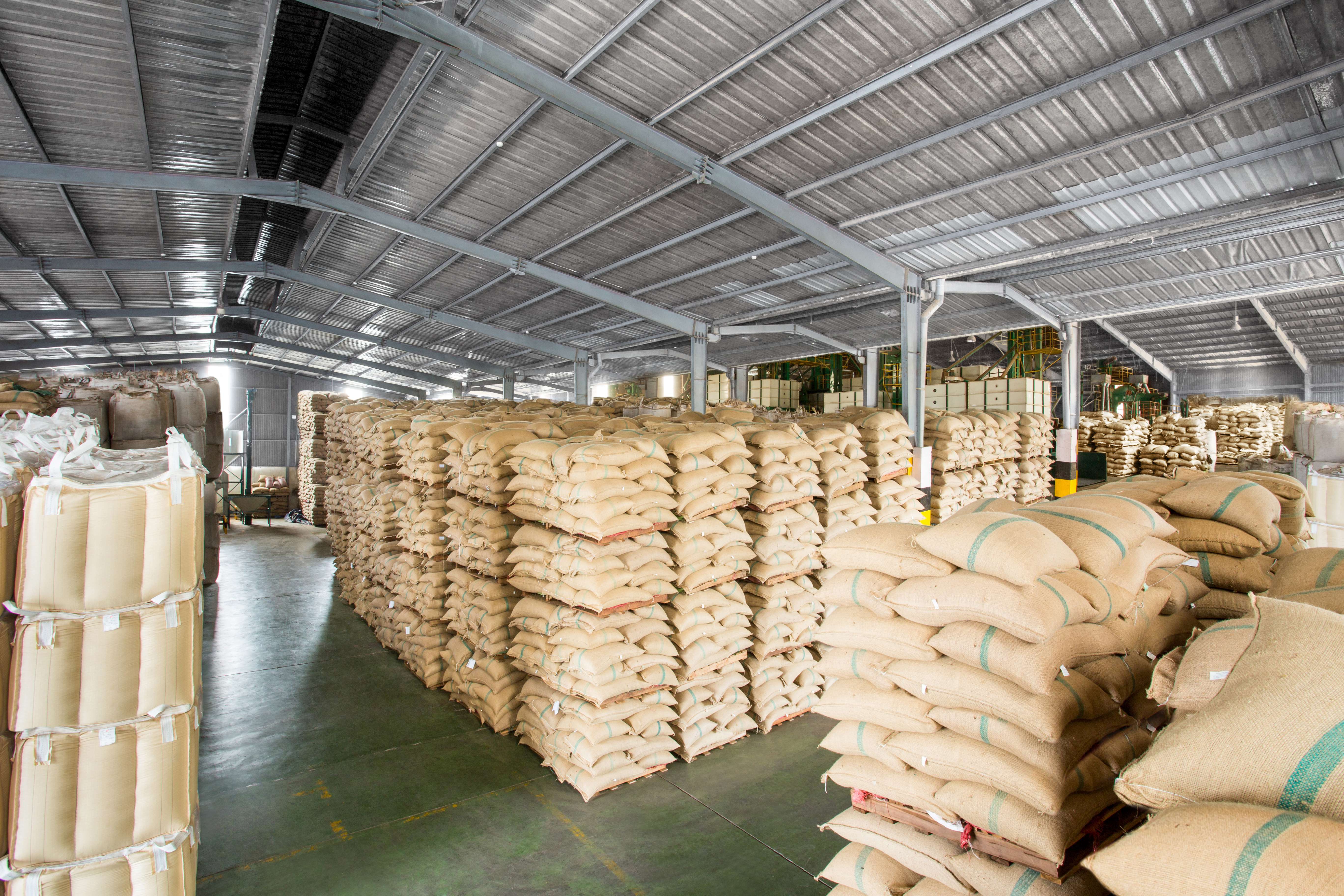 ARABICA COFFEE BEAN